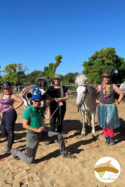cours collectifs equitation vaucluse provence