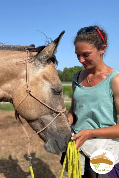 equitation centrée dans le vaucluse