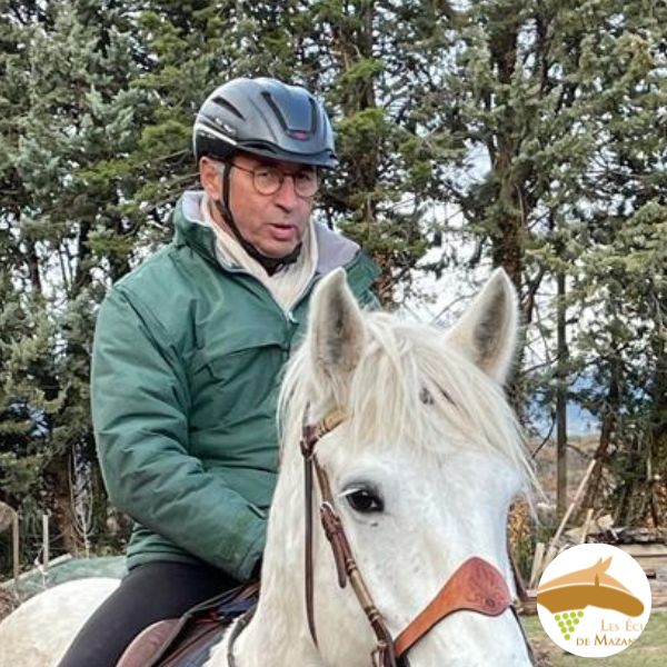 équitation de loisir,club hippique,centre d'Activités équestres à mazan vaucluse provence ventoux