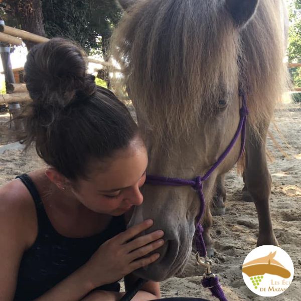 équitation de loisir,club hippique,centre d'Activités équestres à mazan vaucluse provence ventoux