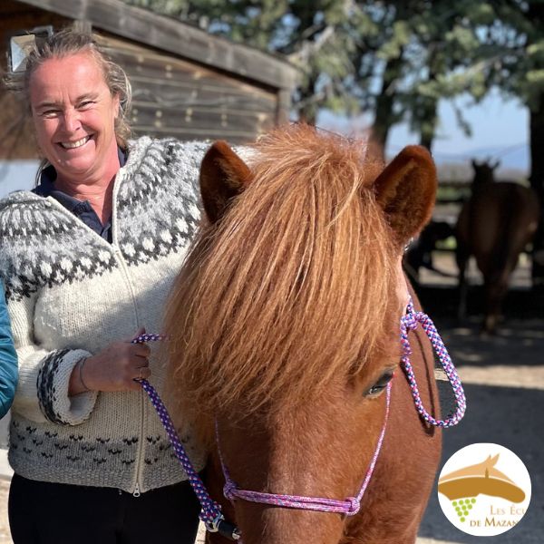 équitation de loisir,club hippique,centre d'Activités équestres à mazan vaucluse provence ventoux