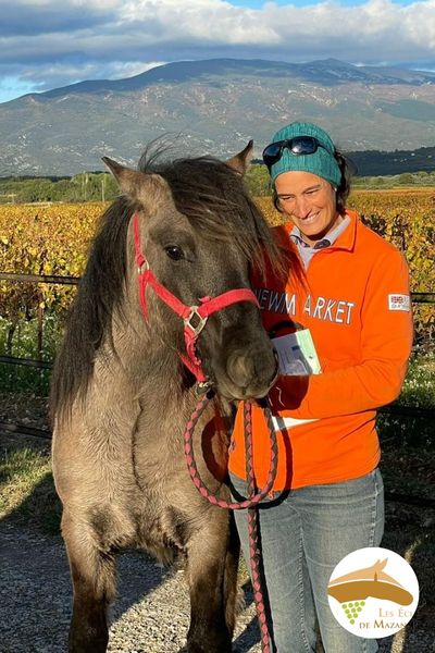 Vente de poneys et chevaux de loisir