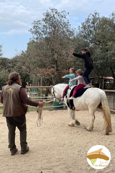 Site Centre activité équestre Vaucluse Provence(140)