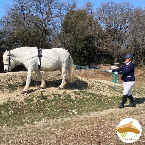 site Randonnées equestre balade cheval vaucluse provence(71)