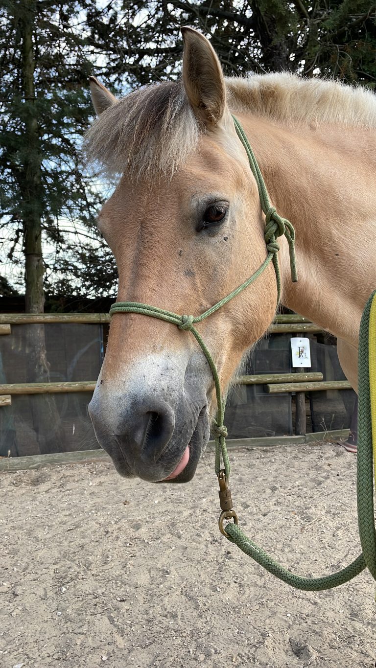 Usky du val des nages 3