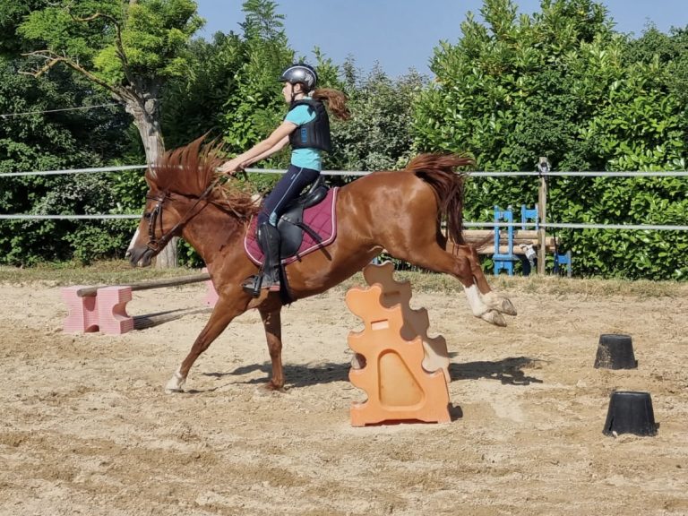 Daisy du Ventoux en saut