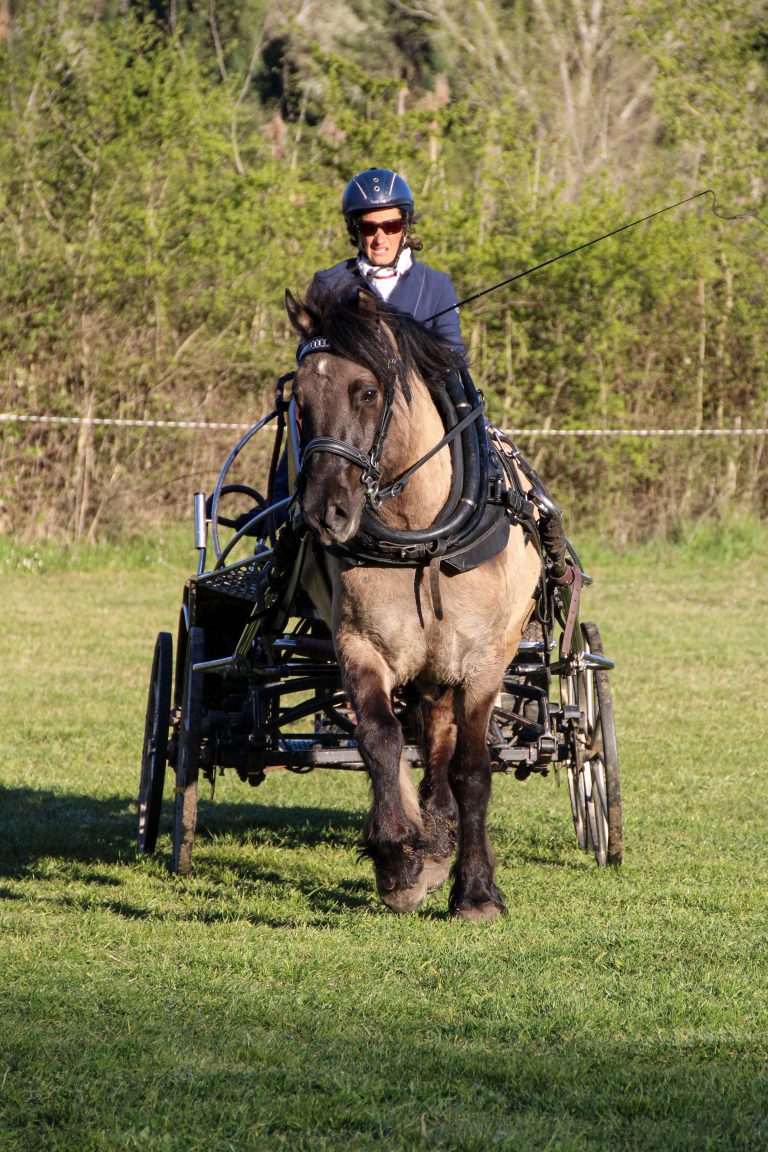 Kyle de Lhermet mars 2026 concours miramas 2