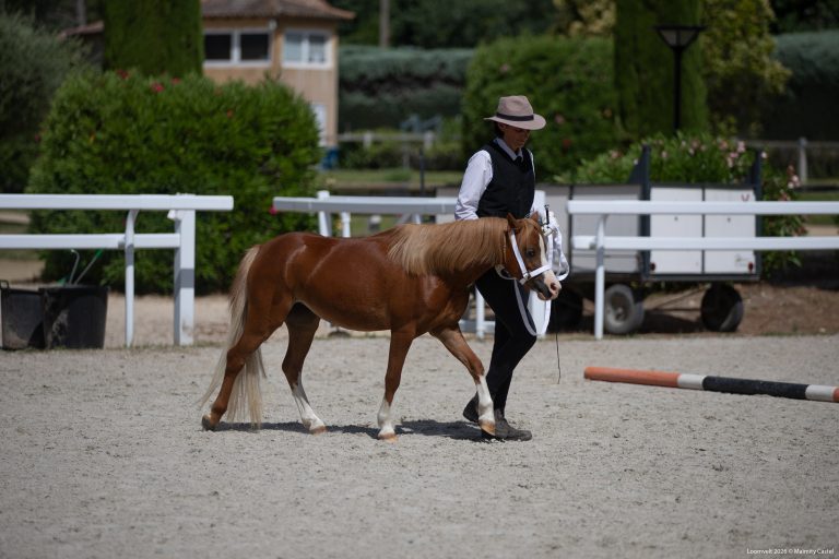 Okami Matcha 7 juin 26 show welsh Uzes 2